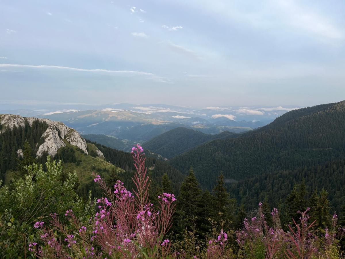 Lux Apartman A18 & Spa Centar Kopaonik Esterno foto